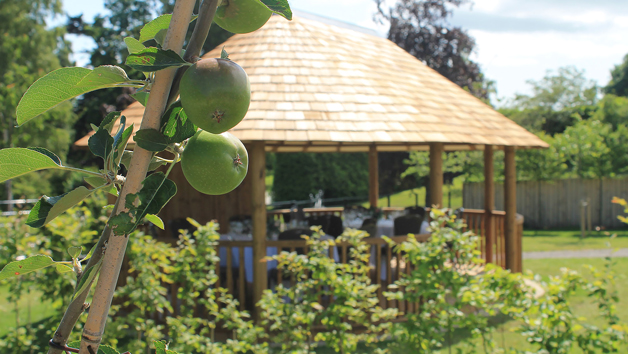 Kitchen Garden Tour and Lunch for Two at Rudding Park, Yorkshire Image 5