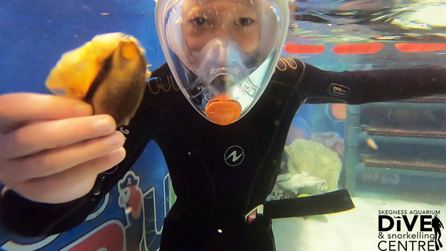 Family Snorkelling Experience and Entry at Skegness Aquarium Image 3