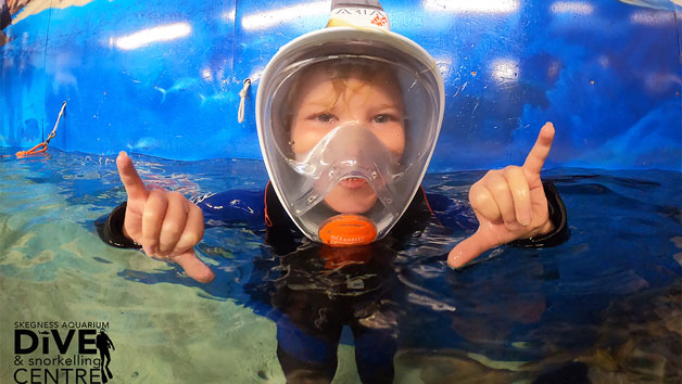 Family Snorkelling Experience and Entry at Skegness Aquarium Image 5