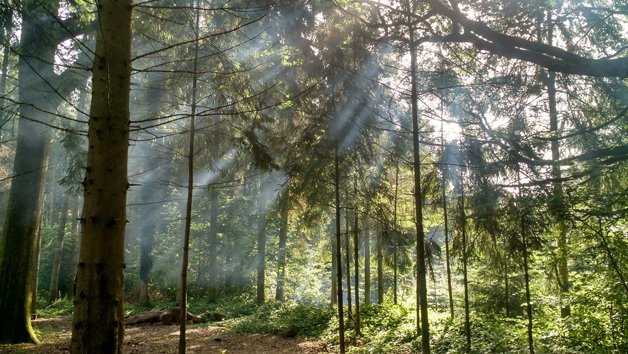 Mindfulness in Nature Meditation for Two Image 3