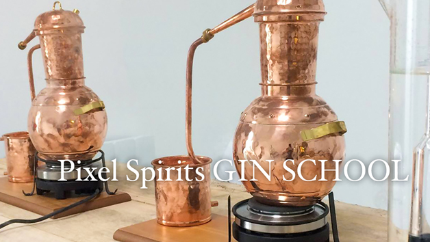 Buy Online Gin Experience with Virtual Tour and Live Tasting from a Master Distiller at Pixel Spirits