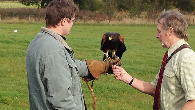 Click to view details and reviews for Birds Of Prey Three Hour Experience For One – Special Offer.