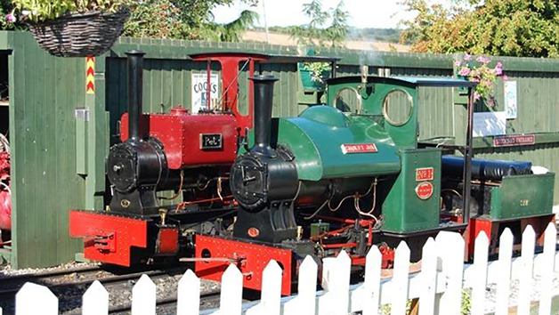 Click to view details and reviews for Steam Train Driving Taster Experience At Sherwood Forest Railway For One.
