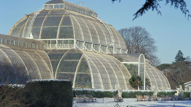 Entry to Kew Gardens and Palace for Two Adults Image 3