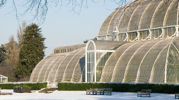 Entry to Kew Gardens and Palace for One Person Image 4