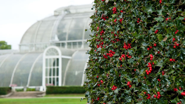 Entry to Kew Gardens and Palace for One Person Image 5