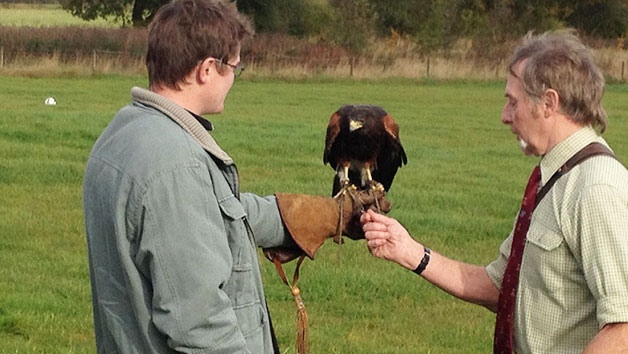 Click to view details and reviews for Three Hour Birds Of Prey Experience For Two.