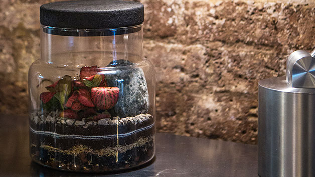 Terrarium Workshop - Slim Cork Jar at Botanical Boys Image 3