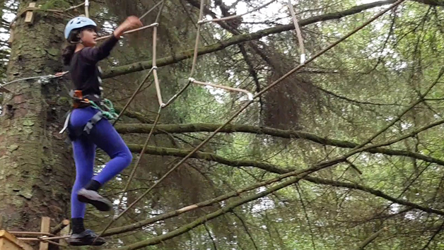 Tree Top Trials The Pioneer Experience for an Adult and a Child Image 2