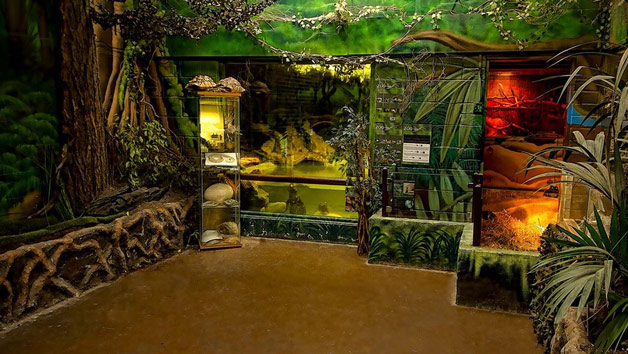 Entry to Exotic Zoo with a One Hour Reptile Experience for Two Image 3