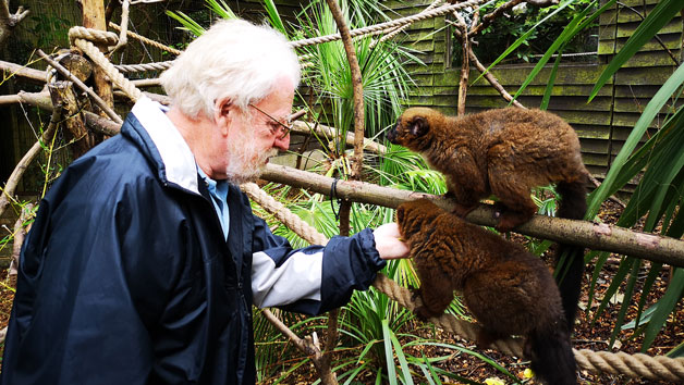 Shaldon Wildlife Trust Zoo Entry for Two with Lemur Liaison and Meerkat Experience Image 4