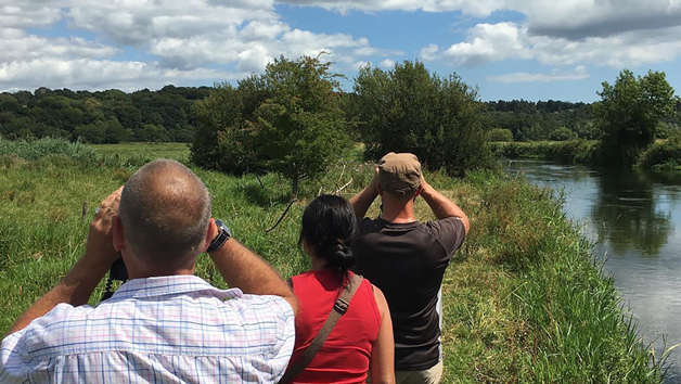 A Private Wildlife Walk with The Bird Whisperer for Two Image 5