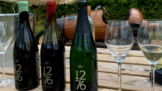 Self Guided Time on the Vine at 1276 Wines for Two picture