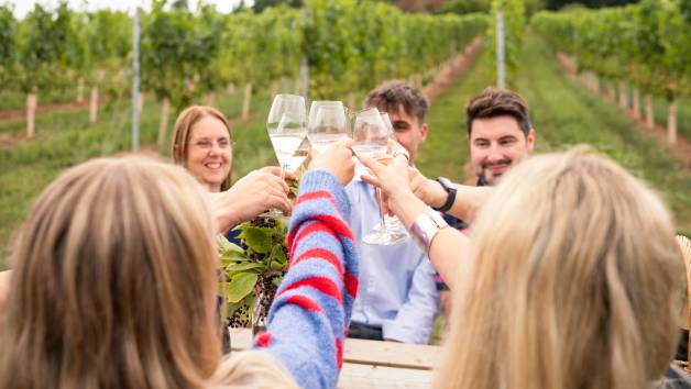 Guided Wine Tour and Tasting at 1276 Wines for Two picture