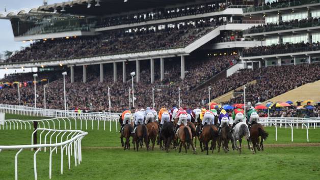 Cheltenham Horse Racing Raceday and Preview with Racing Breaks for Two picture