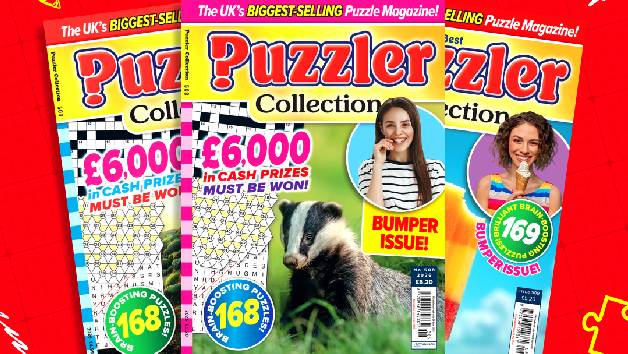Puzzler Collection Magazine Subscription for Seven Issues picture