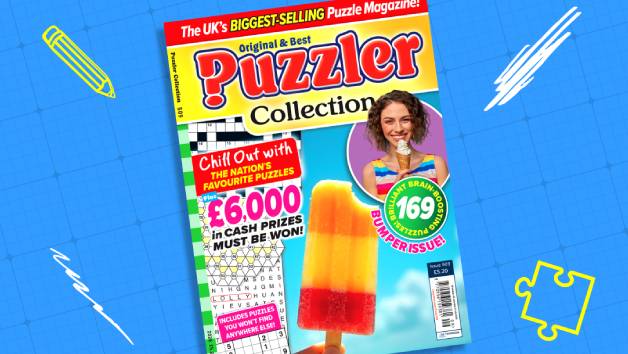 Puzzler Collection Magazine Subscription for 14 Issues picture