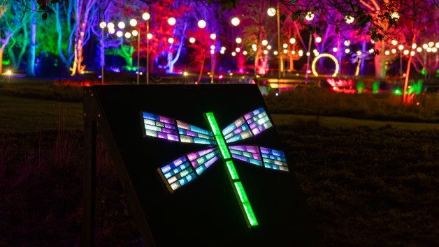 RHS Glow Illuminations for Two Adults at Bridgewater picture