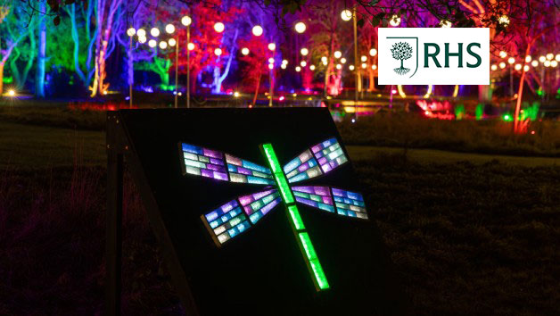 RHS Glow Illuminations for Two Adults at Bridgewater picture