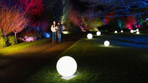RHS Glow for Two Adults at Harlow Carr 
 picture