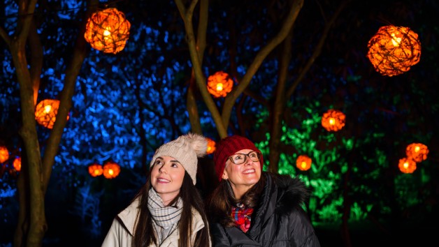 RHS Glow for Two Adults and Two Children at Harlow Carr picture