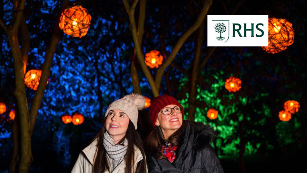 RHS Glow for Two Adults and Two Children at Harlow Carr picture