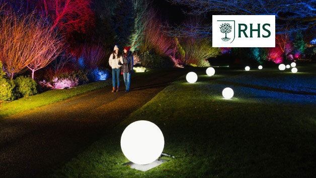 RHS Glow for Two Adults at Harlow Carr 
 picture