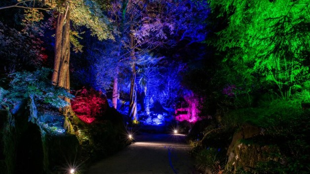 RHS Glow for Two Adults and Two Children at Rosemoor Gardens picture