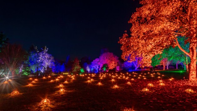 RHS Glow for Two Adults at Rosemoor Gardens picture