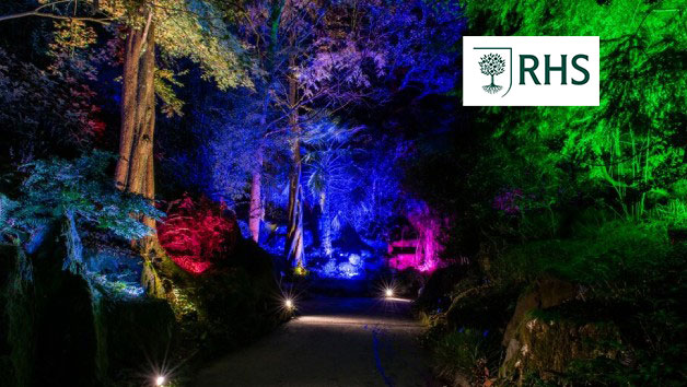 RHS Glow for Two Adults and Two Children at Rosemoor Gardens picture
