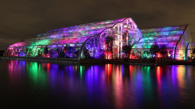 RHS Glow for Two Adults at Wisley picture