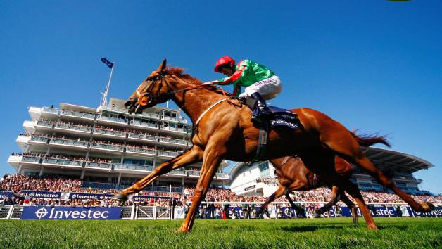 Choice of Horse Racing Raceday with Preview at Racing Breaks for Two picture