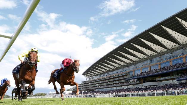 Royal Ascot Horse Racing Raceday and Preview with Racing Breaks for Two picture