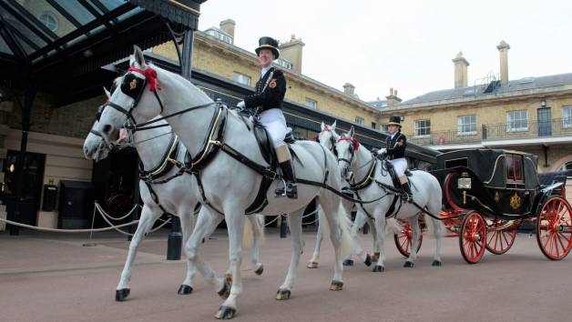 Buckingham Palace Royal Mews Entry for Two Adults with Evan Evans Tours picture