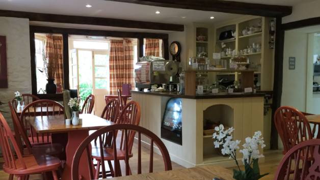 Two Course Meal, a Side and a Glass of Wine at Swan House Tea Room for Two picture