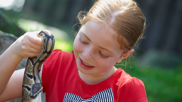 Reptile Close Encounter Experience at Drusillas Park Zoo for Two Image 3