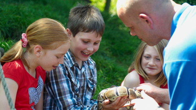 Reptile Close Encounter Experience at Drusillas Park Zoo for Two Image 2