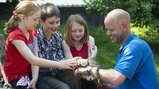 Reptile Close Encounter Experience for One at Drusillas Park Zoo picture