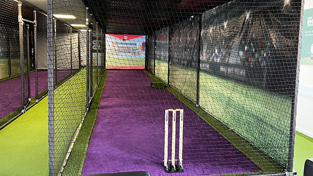 1 Hour of Indoor Virtual Cricket for up to Four Image 2