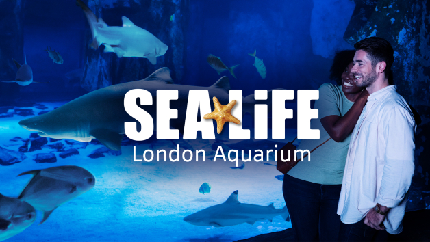 Two Adult and One Child Entry Tickets to SEA LIFE London Aquarium picture
