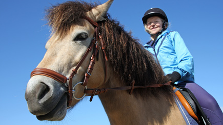 Groom and Ride a Pony Children's Experience Image 2