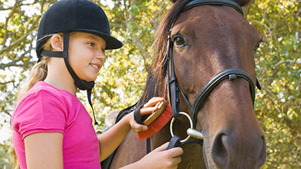 Groom and Ride a Pony Children's Experience