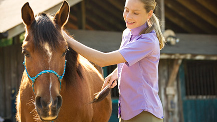 Groom and Ride a Pony Children's Experience Image 3