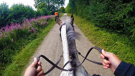 Horse Riding in Bedfordshire for Beginners Image 2