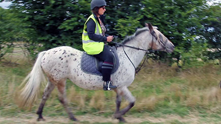 Horse Riding in Bedfordshire for Beginners