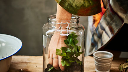 A Tropical Terrarium with Tool Making Masterclass in East London Image 2