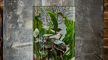 Jarrarium and Aquatic Landscape Masterclass in East London