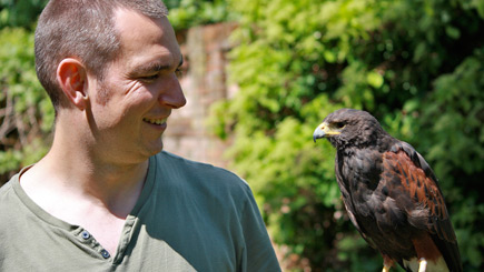 Falconry Insight Day