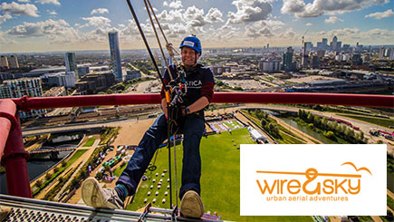 Click to view details and reviews for Freefall Abseil At The Arcelormittal Orbit.