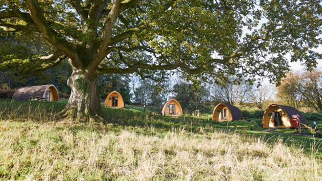 Two Night Mega Pod Glamping Break at Whitemead Forest Park for Four Image 3